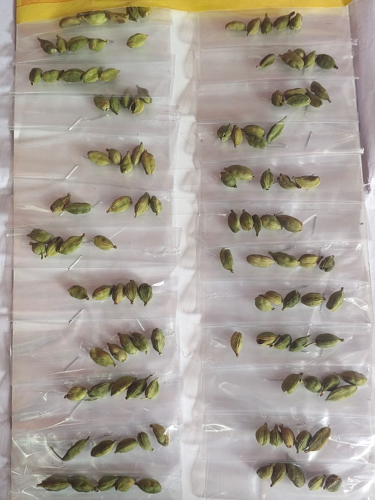 5bikri] ilaichi 24pc ka
