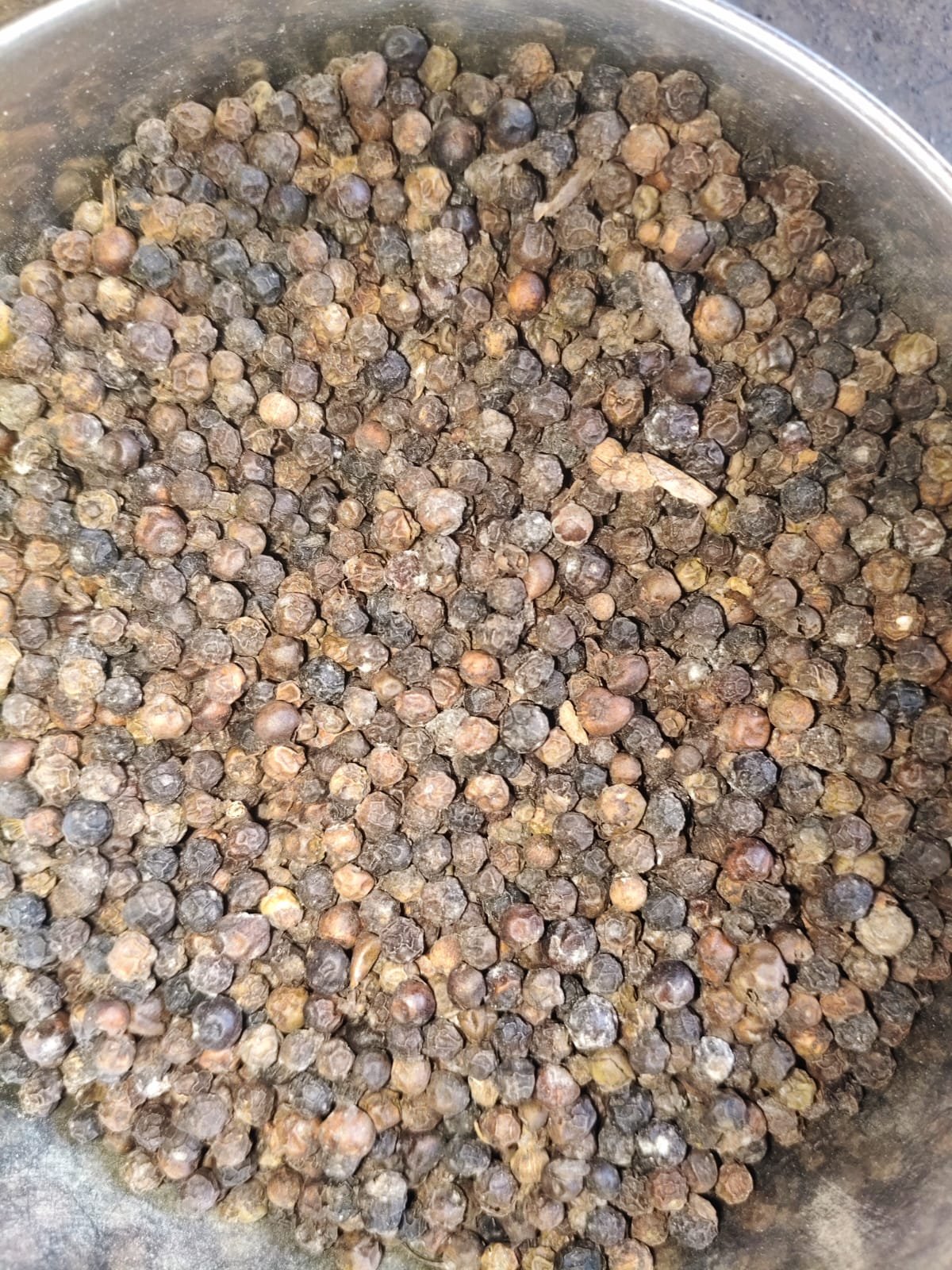 1kg bold golki