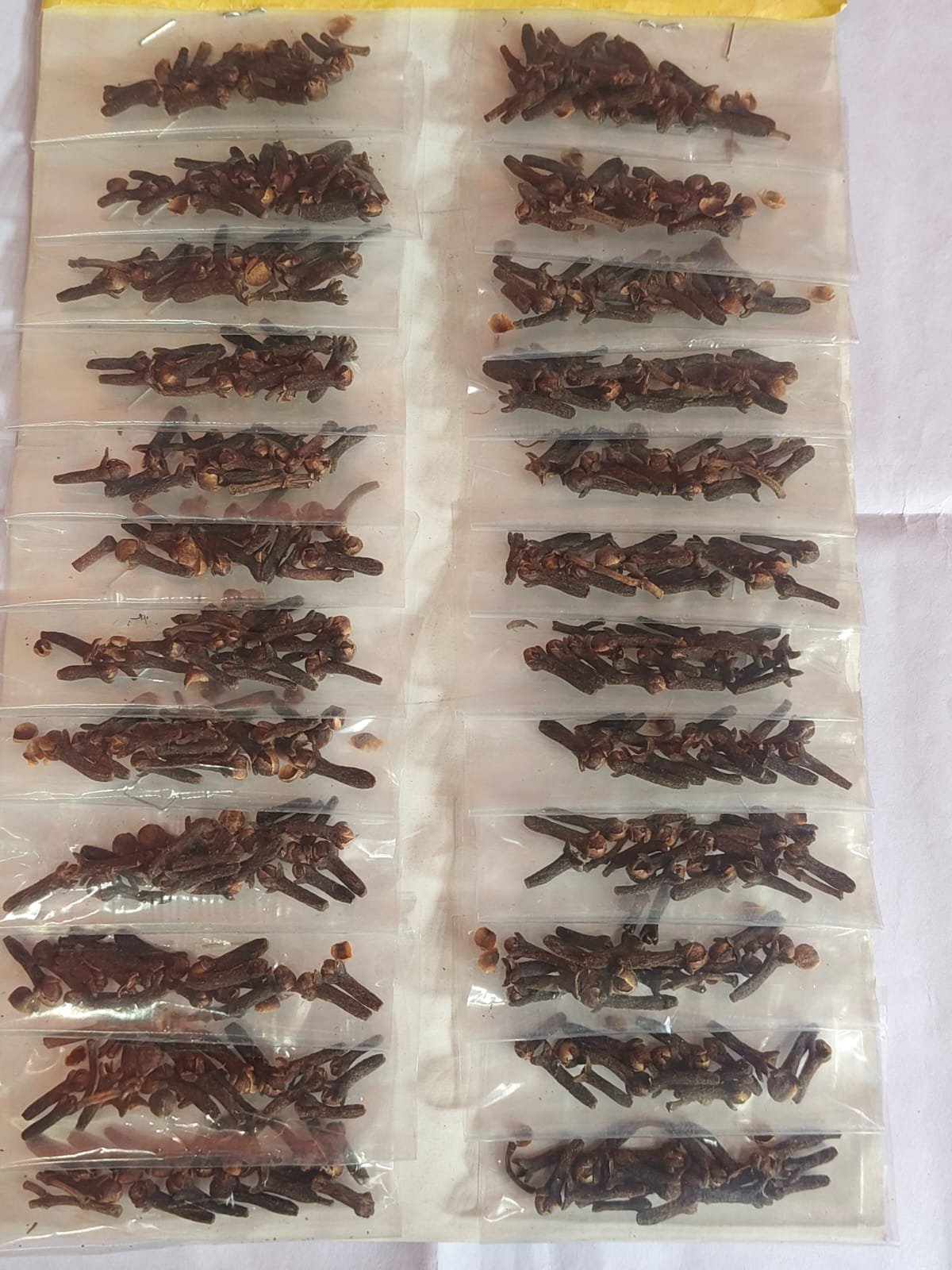 Long [ 5 bikri 24pcs]