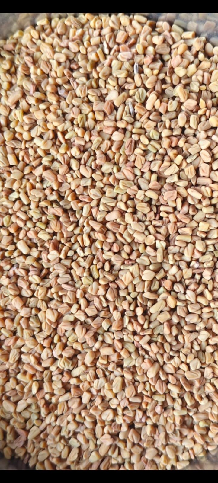 Methi 1kg