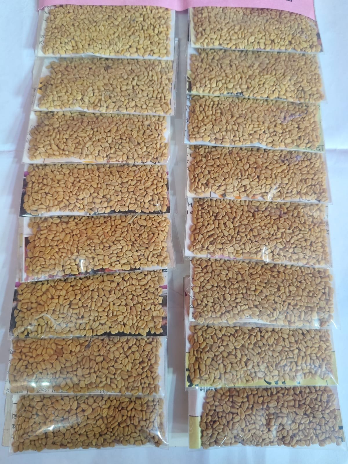 5 bikri 16pcs patta [methi]