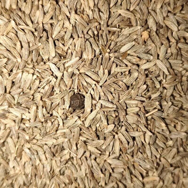 JEERA 100 GRAM