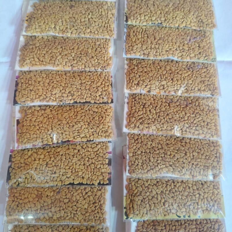5 bikri methi 16pcs ka patta (45rs) 2 ka bandal